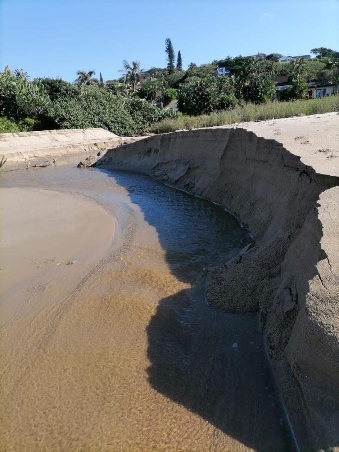Ocean Gardens 5