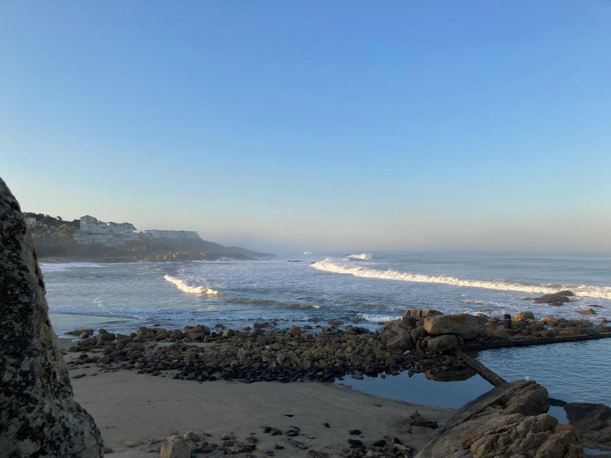 Ocean Gardens 5